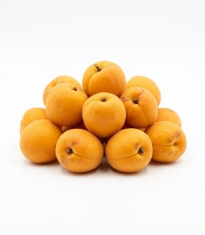 Premium Gilgit Apricots